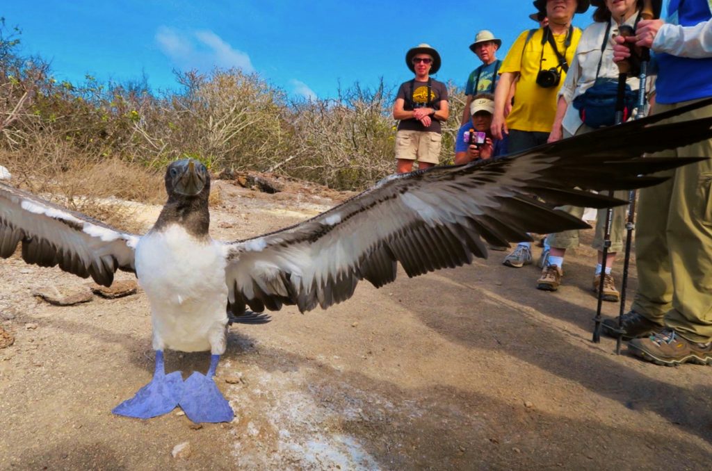 Travel photograph for Galápagos expedition: 8-Day Sample Itinerary