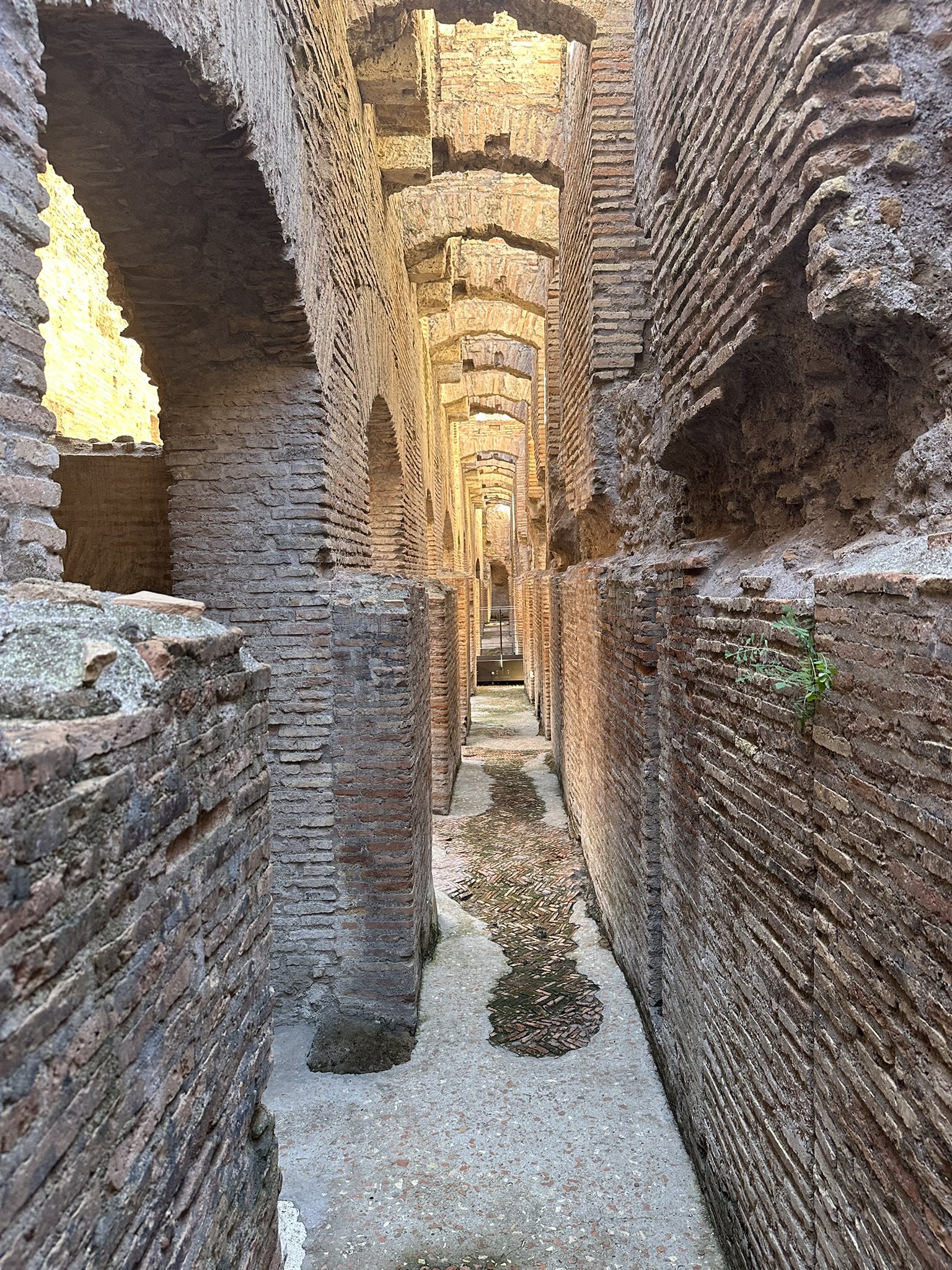 Ancient passageway in the underground tunnels of the Colosseum in Rome